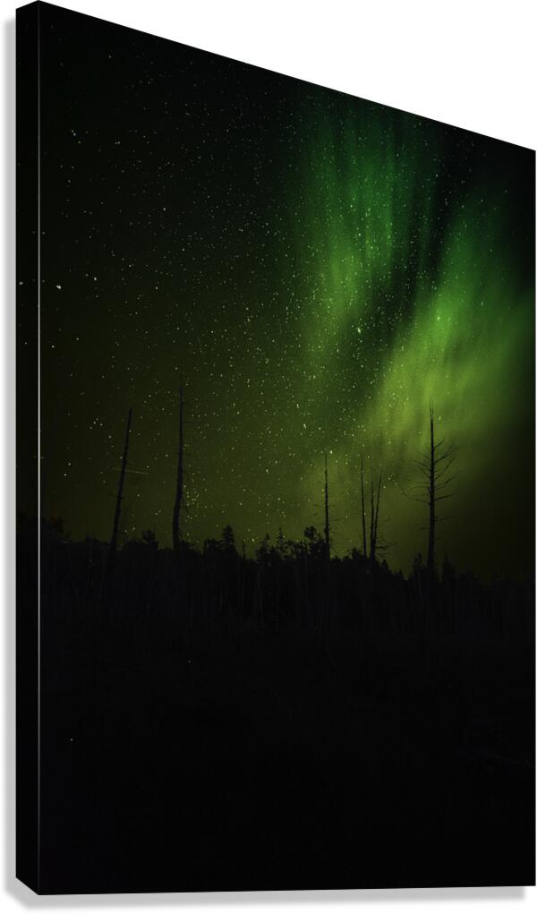 JBS 1399 Canvas Print