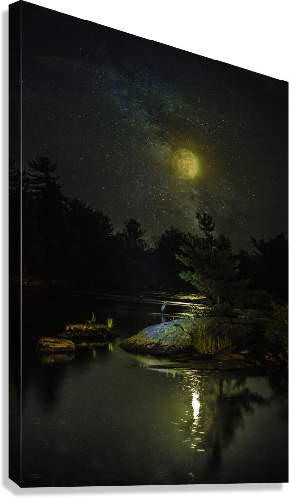 JBS 1098  Canvas Print