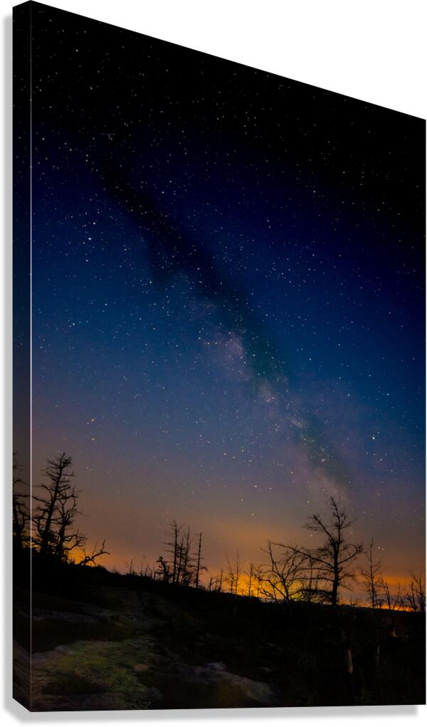 JBS 3918 Canvas Print
