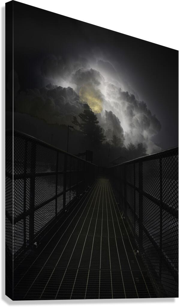 JBS 3041 Canvas Print