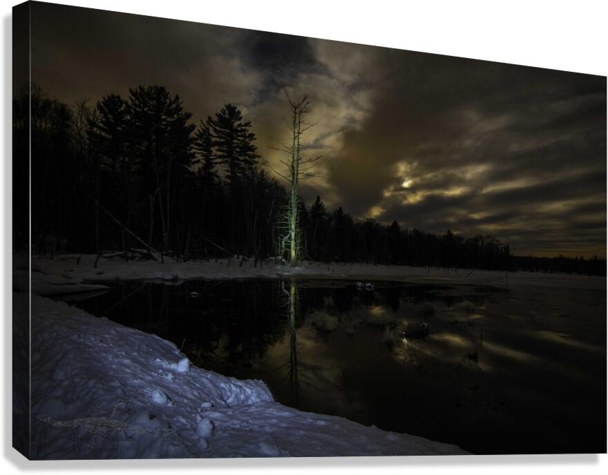 JBS 5564 Canvas Print