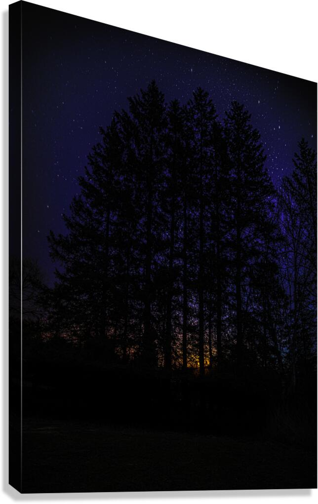 JBS 4719  Canvas Print