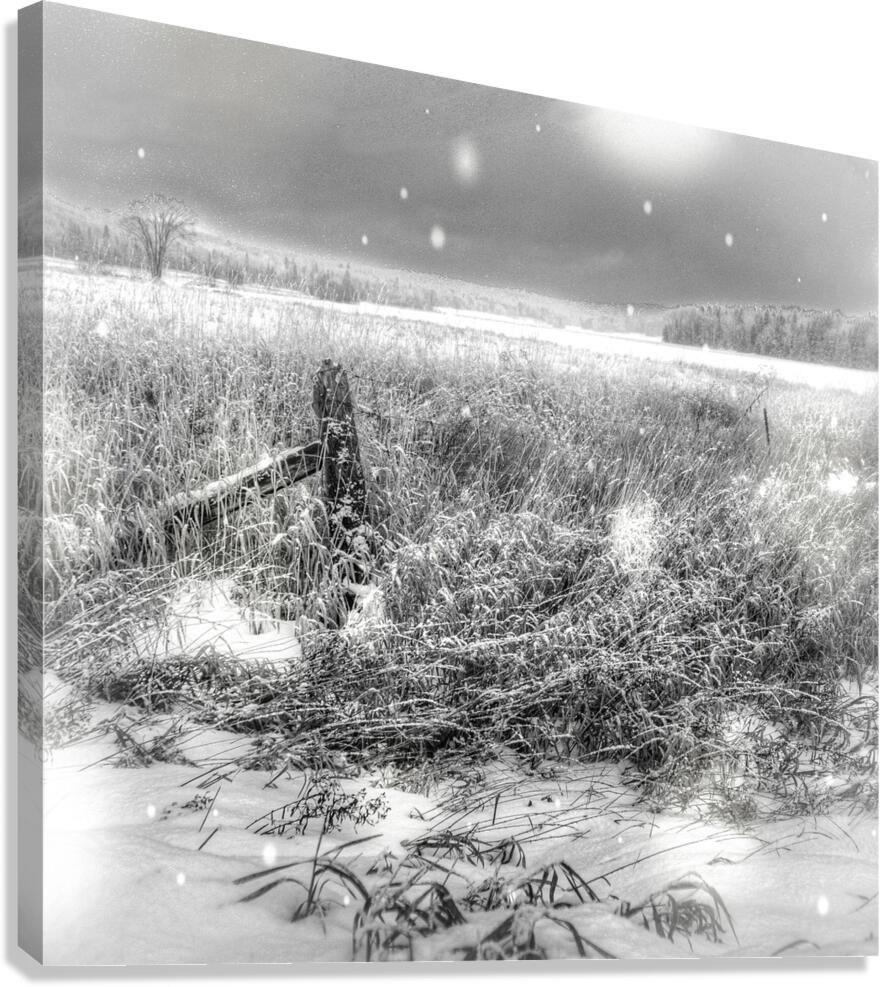 JBS 4080 Canvas Print