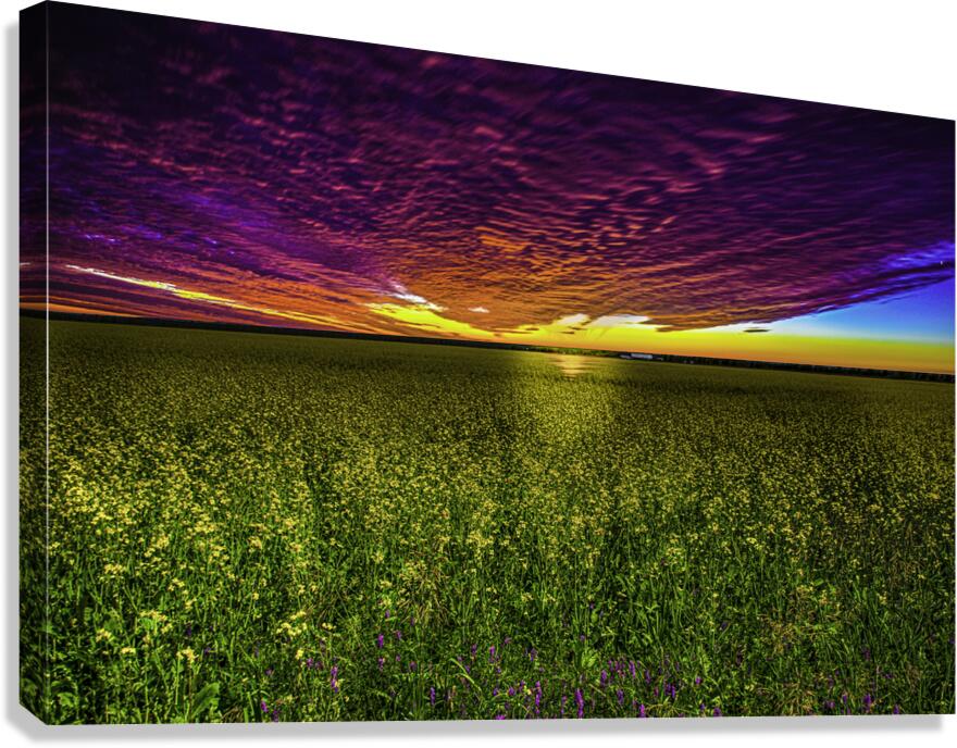 JBS 3554 Canvas Print