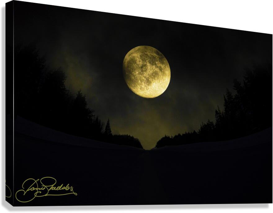 JBS 4093 Canvas Print