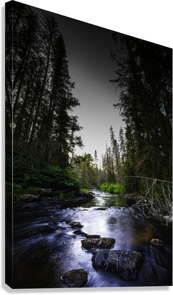 JBS 2030 Canvas Print