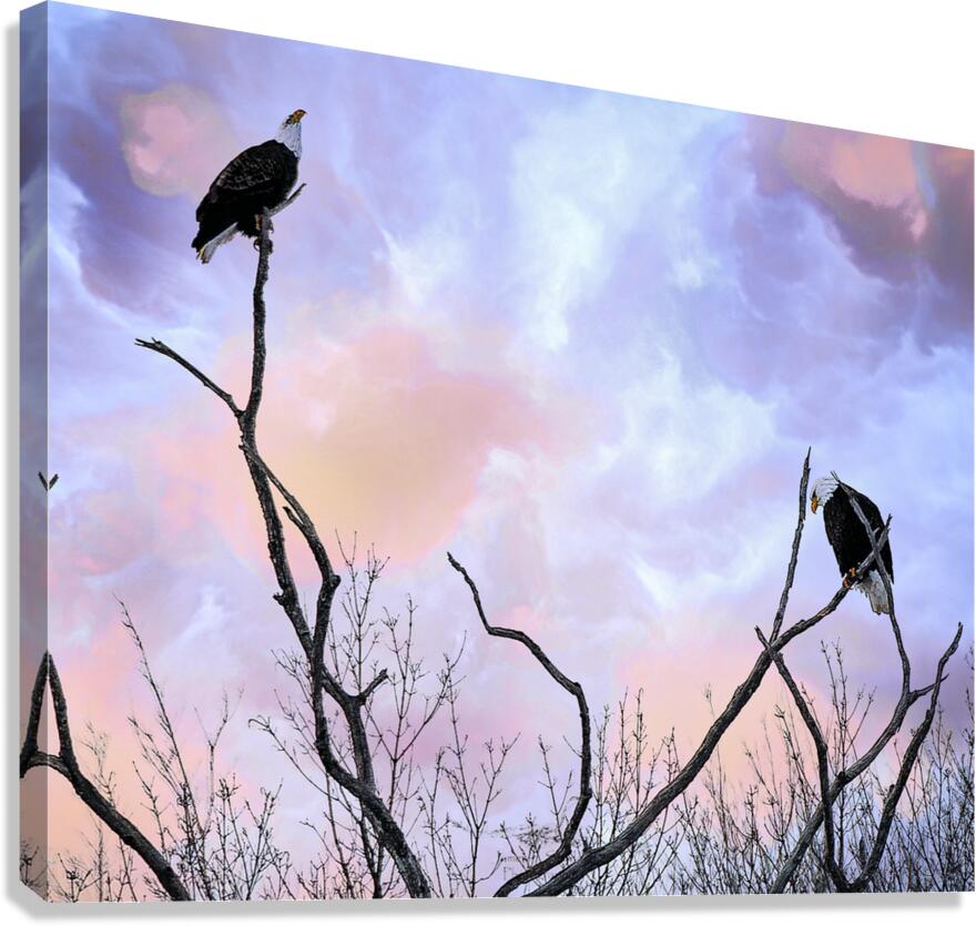 DSC 0357 Canvas Print