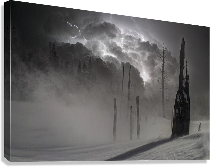 01300036  Canvas Print