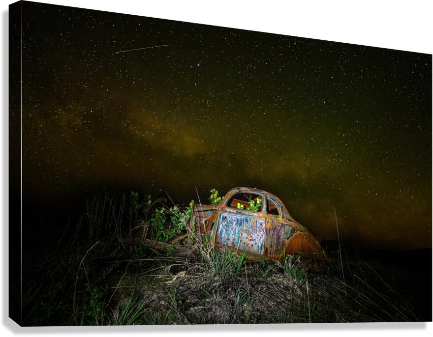 ZJS 9890 Canvas Print