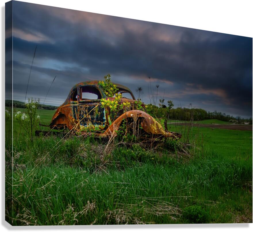 ZJS 9866 Canvas Print