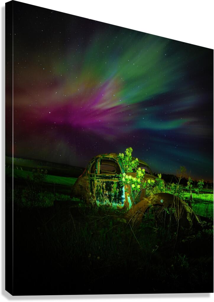ZJS 9879 Canvas Print