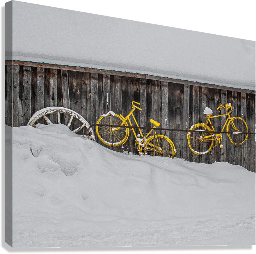 ZJS 9138 Canvas Print