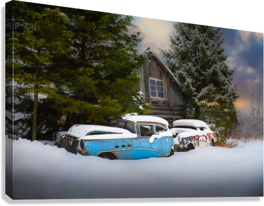 ZJS 9141 Edit Canvas Print
