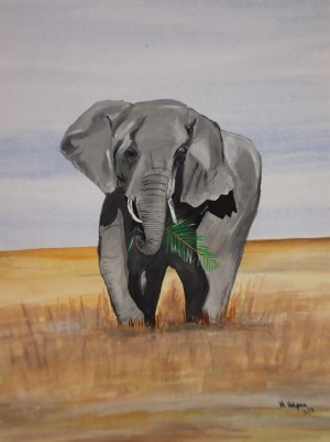 African Elephant