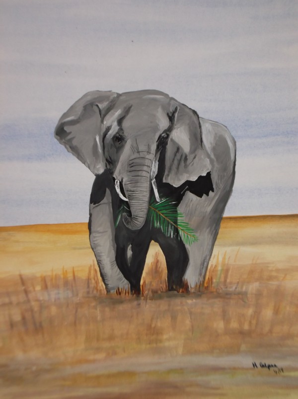 African Elephant Print