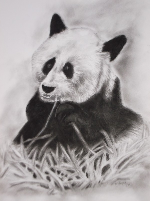 Panda Print