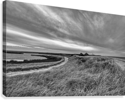 Subtle Breeze Canvas Print