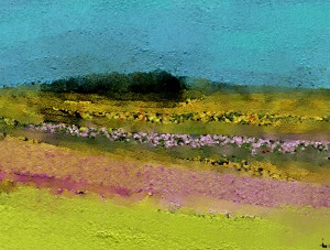 0268