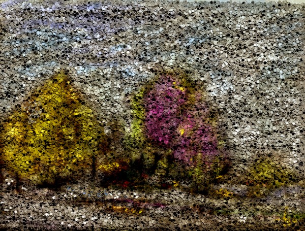 0178 Print