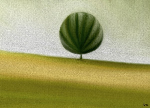 2406 Print