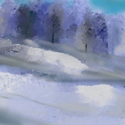 0264