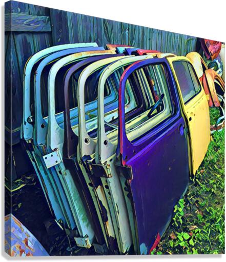 Beetle Wings Canvas Print