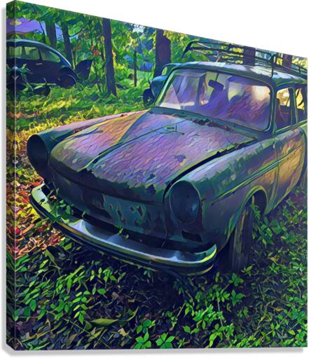 Madmenmobile Canvas Print