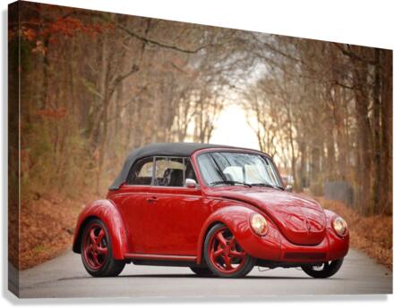 MD7 Canvas Print