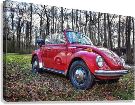 Mirror Shine Canvas Print