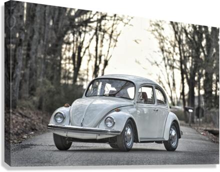 White Out Canvas Print
