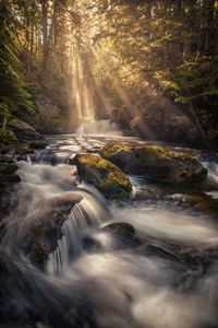 Great Bear Rainfroest Waterfall Print