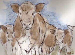 Normandy Cows 