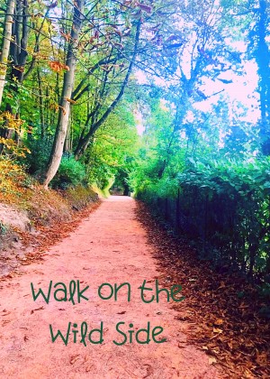 Walk on the Wild Side