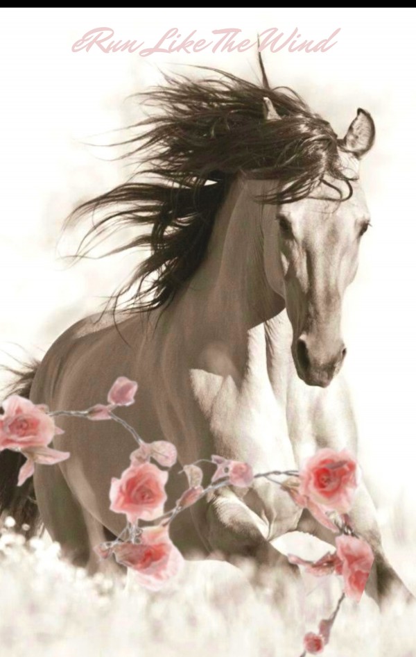  Run Like The Wind Print