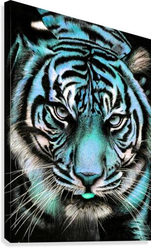 Tiger Blue Canvas Print