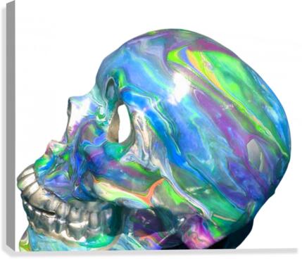 Frozen Skull Canvas Print