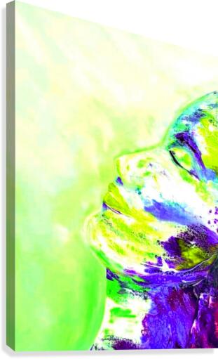 Limes Canvas Print