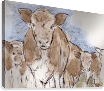 Normandy Cows  Canvas Print