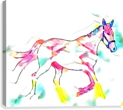 Rainbow Horse  Canvas Print