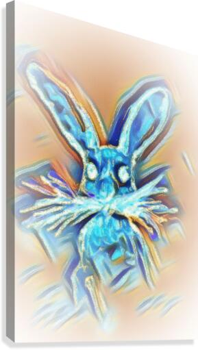 Blue Rabbit Canvas Print