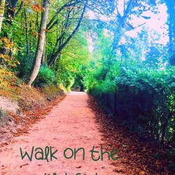 Walk on the Wild Side