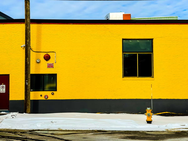 Yellow Hydrant  Print
