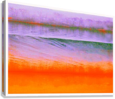 Mandarin Final Canvas Print