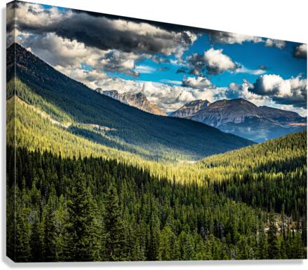 Alberta Canvas Print