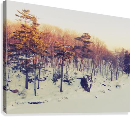 Winter Sunset Canvas Print