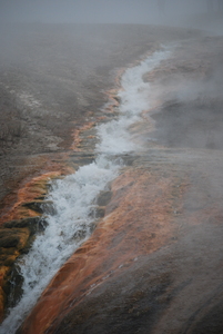 Yellowstone Hot Spring Runoff