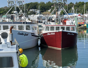 Brier Island Fishing Boats
