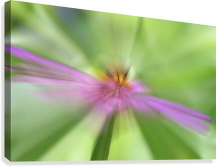 BeeRuptive Canvas Print