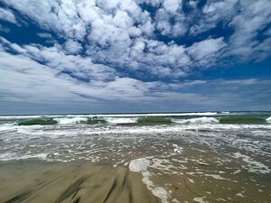 Tide 1723735800069