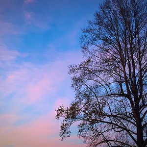 Lovely Evening in Ohio